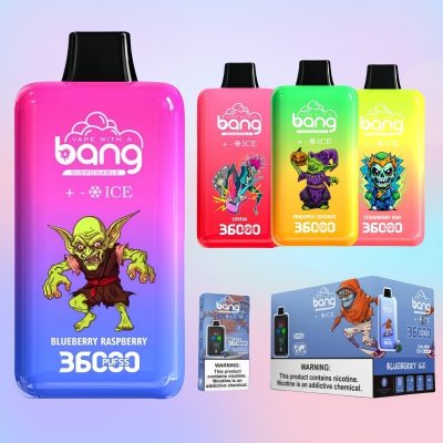 Bang 36000 Puffs Ice Control Vape 1 1 jpg - Bang King